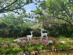 -名花谷生态庄园