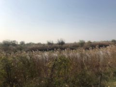 -处女泉风景名胜区