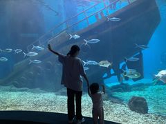 -福州罗源湾海洋世界旅游区