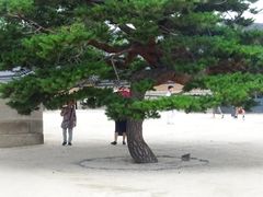 -景福宫