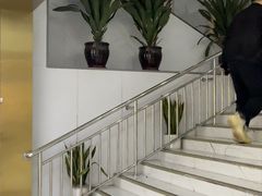 -美可普口腔医院(东街分店)