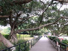 -胡里山炮台