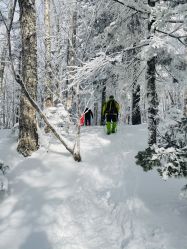 -大秃顶子山