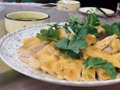 姜汁白切鸡-洪霞餐馆