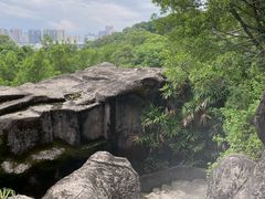 -金鸡山公园