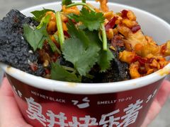 -黑色经典臭豆腐·湖南特产(坡子街店)