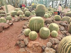 -南通洲际绿博园