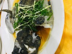 清蒸老虎斑-蚝专家(北滘店)