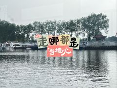 -白洋淀景区