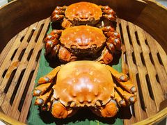 清蒸大闸蟹-成隆行·蟹王府(九江路店)