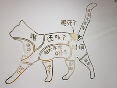 -有喵·猫咖·狗咖·30几只猫10只小狗(岗厦店)