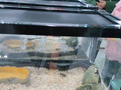 -上海昆虫博物馆