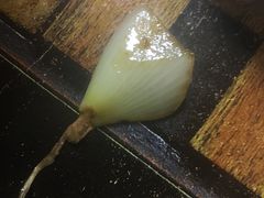 -小艾家的炒饭(万新村店)