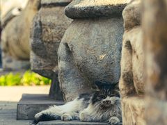 -北京石刻艺术博物馆(五塔寺)