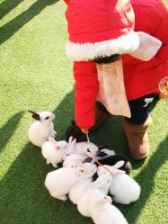 -萌宠亲子动物乐园(槐房万达店)