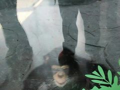 -武汉动物园