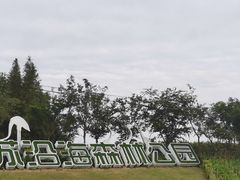 -盐城丹顶鹤湿地生态旅游区