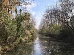 -溱湖国家湿地公园