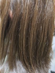 -波斯坦植物养发馆