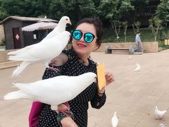 -白鹿原影视城
