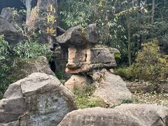 -凤栖山