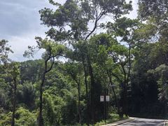 -广州市帽峰山景区