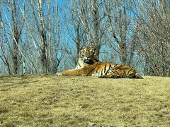 -北京野生动物园