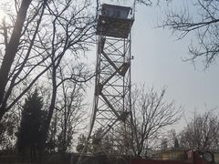 -云岗森林公园