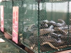 -荔城生鲜盛宴(番禺旗舰店)