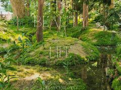 -成都市活水公园