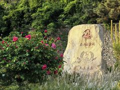 -徂徕山森林康养度假谷温泉