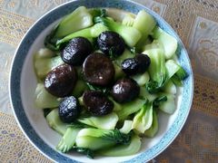 -葱妈母婴医护月嫂中心(浦东店)