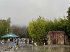 -敬亭山风景名胜区