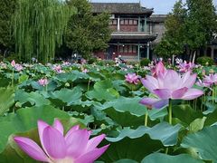 -莲池书院博物馆