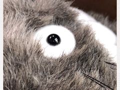 -三鹰之森吉卜力美术馆