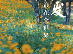 -朝阳公园