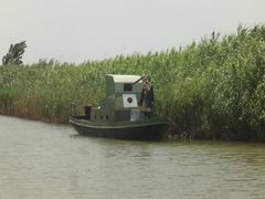 -泗洪洪泽湖湿地景区