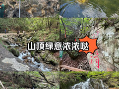 -本溪汤沟绿石谷森林公园