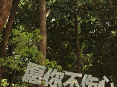 -杭州植物园