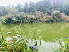 -象山森林公园
