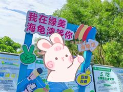 -广东惠东海龟国家级自然保护区