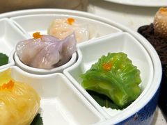 -点都德·毕德寮