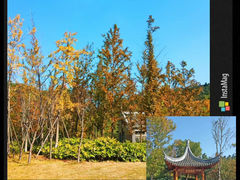 -平湖九龙山旅游度假区