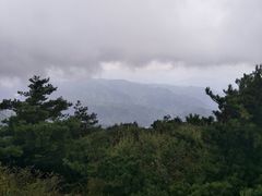-王顺山国家森林公园