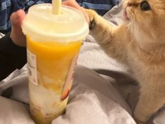 -阿嬷手作(成都万象城店)