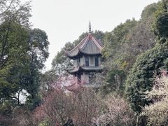 -成都杜甫草堂博物馆
