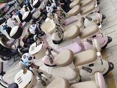 -养马岛旅游度假区