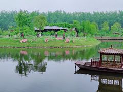 -合肥滨湖国家森林公园