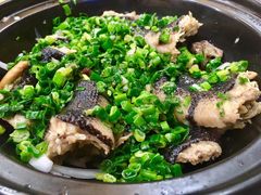 -寻味顺德·南记酒家·传统顺德菜·鱼生(广源路店)