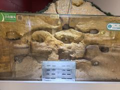 -上海昆虫博物馆